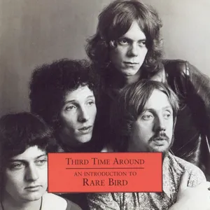 Third time around : an introduction to Rare bird
